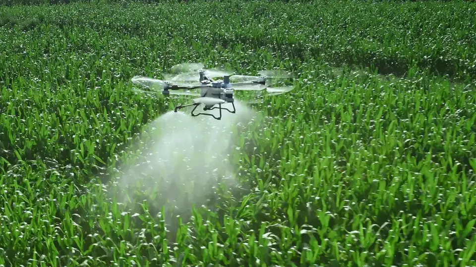 DJI Agras T100 pulverizando
