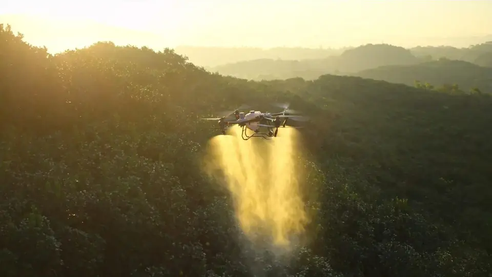 DJI Agras T50 pulverizando al atardecer